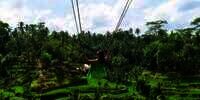 Jelajahi Ubud, Bali dengan Berkunjung ke Tempat Wisata Favorit