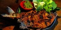 Ini 10 Arti Mimpi Makan Ikan yang Dipercaya Membawa Simbol Keberuntungan