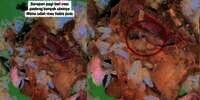 Sarapan Nasi Padang Hampir Habis, Baru Tahu Lauk Ayam Gorengnya Berulat