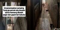 Potret Gudang Kumuh dan Seram Disulap Jadi Taman Estetik ala Bali, Spot Foto yang Keren Abis!