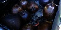 Cek Fakta: Kelapa Bakar Bisa Menyembuhkan Penyakit Batu Ginjal