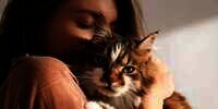 Cuma Merawat Kucing, Gaji Wanita Ini Rp13,3 Juta Perbulan