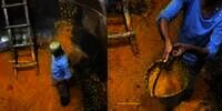 Pakai Wajan Bekas Pasir, 10 Potret Pembuatan Makanan Porsi Jumbo di India Ini Bikin Mual