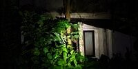 Potret Rumah Mewah Milik Mumun Janda Kaya Raya, Kini Terbengkalai Jadi Super Horor, Warga Sering Lihat Pocong!