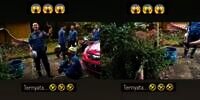Emak-emak Panik Ketakutan Ada Ular di Pekarangan, Lapor Petugas Damkar, eh Pas Dicek Ternyata...