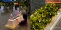 Momen Haru Wanita Ziarah dan Bersihkan Makam Ibunya yang Terendam Banjir