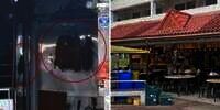 Enak-Enak Ngopi Lihat Bayangan Hitam Panjat Pipa, Setelah Direkam Malah Binkin Mual