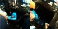 Mau Ngakak Tapi Kasihan, Tamu Pernikahan Nyemplung Lubang Septic Tank sampai Basah Kuyup: Malunya Seumur Hidup