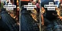 Viral! Penampakan Buaya Muara Raksasa Pemakan Manusia di Lombok Tengah yang Akhirnya Berhasil Ditangkap, Panjangnya Lima Meter
