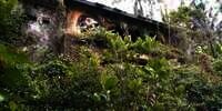 Potret Villa Angker yang Sering Dijadikan Lokasi Pembuatan Konten Horor, Dulu Super Megah Kini Terbengkalai Penuh Lumut!