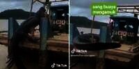Viral! Video Perahu Mancing Buaya Muara Raksasa, eh Pancingnya Putus: Pemancingnya Auto Lari Sembunyi di Ruang Kemudi
