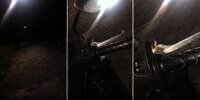 Awalnya Rasakan Geli di Tangan Saat Motoran Malam-malam, Pas Dicek Ternyata Ada Ular Ikut Nebeng Naik Motor di Depan