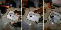 Kegabutan Pemuda Ini Bikin Ngakak Sekaligus Jijik! Mancing di Kloset Jongkok, Tak Disangka Malah Dapat Ikan Lele Betulan