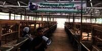 Ratakan Manfaat Kurban Lewat Sentra Ternak Pemberdayaan Berbasis Zakat
