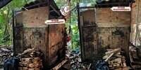 Tak Disangka Desain Rumah Bambu Ini Bikin Takjub, Dari Luar Bak Gubuk Reyot Lihat Isi Dalamnya Super Estetik!