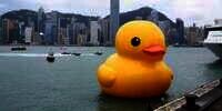 Sederet Kegiatan Seru Liburan di Hong Kong Saat Musim Panas: 'Ada Bebek Gemas Raksasa, Pelan-pelan Pak Sopir'