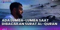 Muncul Lumba-Lumba Saat Pria Ini Bacakan Surat Al-Quran
