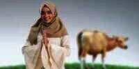 Kapan Lebaran Haji 2023? Simak Jadwal Pemerintah dan Muhammadiyah Berikut!