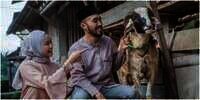 6 Jenis Kambing Kurban yang Banyak Diminati, Ada Apa Saja?