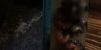 Cerita Misteri Uang dalam Lemari Tiba-tiba Hilang, Kacang Hijau yang Ditebar Kembali Tertata Rapi, Penghuni Menduga Gangguan Tuyul