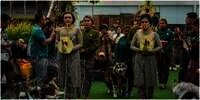 Pesta Pernikahan Anjing Habiskan Biaya Sampai Rp 200 Juta, Apakah Tanda Akhir Zaman?