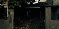 10 Potret Kondisi Rumah Kumuh Putri, Eks Model Dewasa Puluhan Tahun Hidup Tanpa Air & Listrik