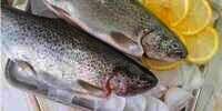 Cara Tepat Simpan Ikan di Kulkas, Selalu Segar dan Tak Berbau
