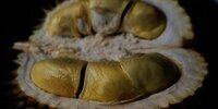 Lagi Enak Makan Durian, Apartemen di Paris Digerebek Petugas Damkar Dikira Gas Bocor