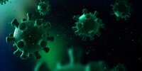 Lima Anak Meninggal Akibat Flu Babi di Riau, Kemenkes Soroti Buruknya Sanitasi dan Gizi di Pedalaman