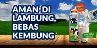 MilkLife Lactose Free, Solusi Susu Sapi yang Lebih Aman di Lambung Kembung