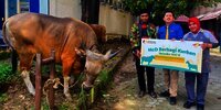 35 Tahun Bersama, McDonald&rsquo;s Indonesia Melalui &ldquo;McD Berbagi Kurban&rdquo;, Salurkan Puluhan Hewan Kurban dan 2.100 Paket Makanan di 23 Lokasi