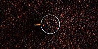 Budaya Ngopi di Indonesia Serta Sejarah Masuk Minuman Hitam Nan Nikmat Ini