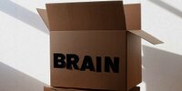 Dopamine Anchoring: Cara Menurut Ahli agar Otak Mau Mengerjakan Tugas Membosankan