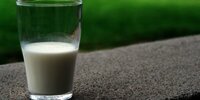 Lebih Sehat Mana antara Susu Full Cream atau Susu Skim untuk Kesehatan Jantung?