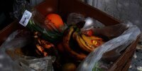  Limbah Makanan di Indonesia Sangat Tinggi, Pastikan Lakukan 5 Hal Ini di Rumah