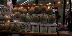 Bayar Rp303 Juta untuk Cicipi Buah Termahal di Dunia