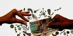 Uang Kertas & Koin Sarang Kuman, Publik Malas Cuci Tangan