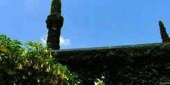 Masjid Unik, Berlapis Tanaman Indah
