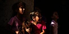 Tangis Pejabat PBB Saat Anak Gaza Dibantai Israel