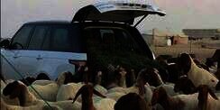 Mobil Rp 3 Miliar Jadi `Gerobak` Kambing, Pabriknya Murka