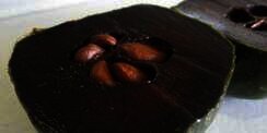 Buah Langka: Sawo Hitam