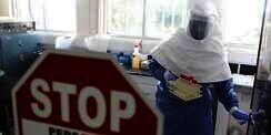 WHO: Dunia Cuma Punya 60 Hari untuk Selamat dari Virus Ebola