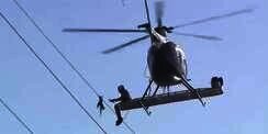 Pakai Heli, Selamatkan Burung di Kabel Tegangan Tinggi