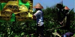 Pundi Rupiah dari yang `Tak Berguna`
