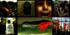 Sepucuk Surat dari Palestina untuk Indonesia