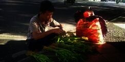Kisah Remaja Tulang Punggung Keluarga