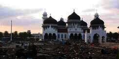 Kisah Nenek Diselamatkan Ular Raksasa dari Tsunami Aceh
