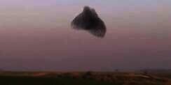 Ribuan Burung Jalak dan `Awan Hitam` di Langit Israel