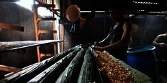 Ini yang Buat Tempe Indonesia Makin Mendunia