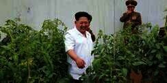 Foto Kim Jong-Un Tertawa Lebar Beredar di Internet